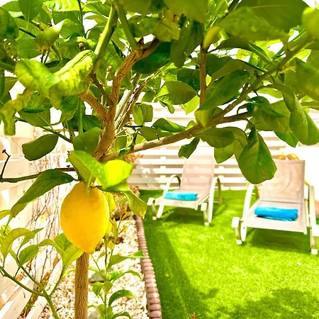 Nissi Escape - 5 Min Walk To Paradise * Айя-Напа