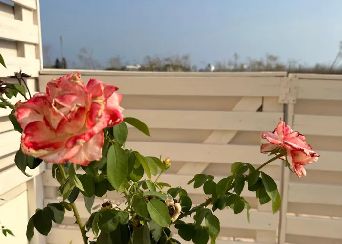 Nissi Escape - 5 Min Walk To Paradise * アヤナパ