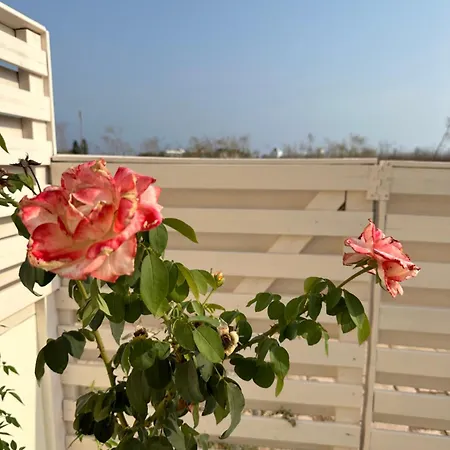 Nissi Escape - 5 Min Walk To Paradise * Ayia Napa